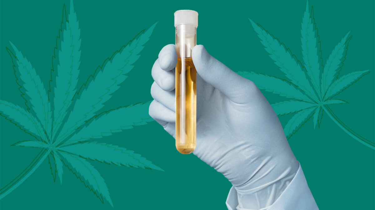 Does CBD Oil Show up on a Drug Test? (and How to Pass)