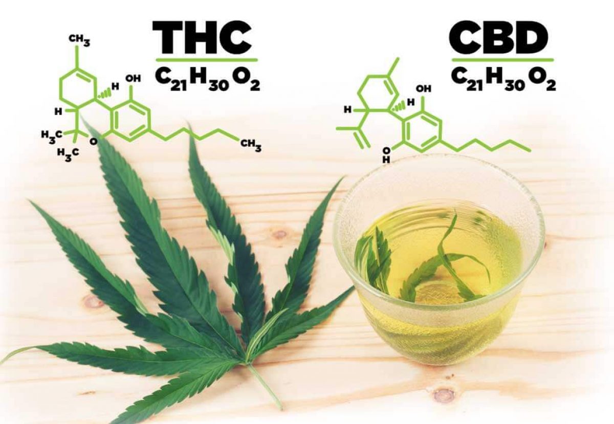 Is There THC in CBD Oil?