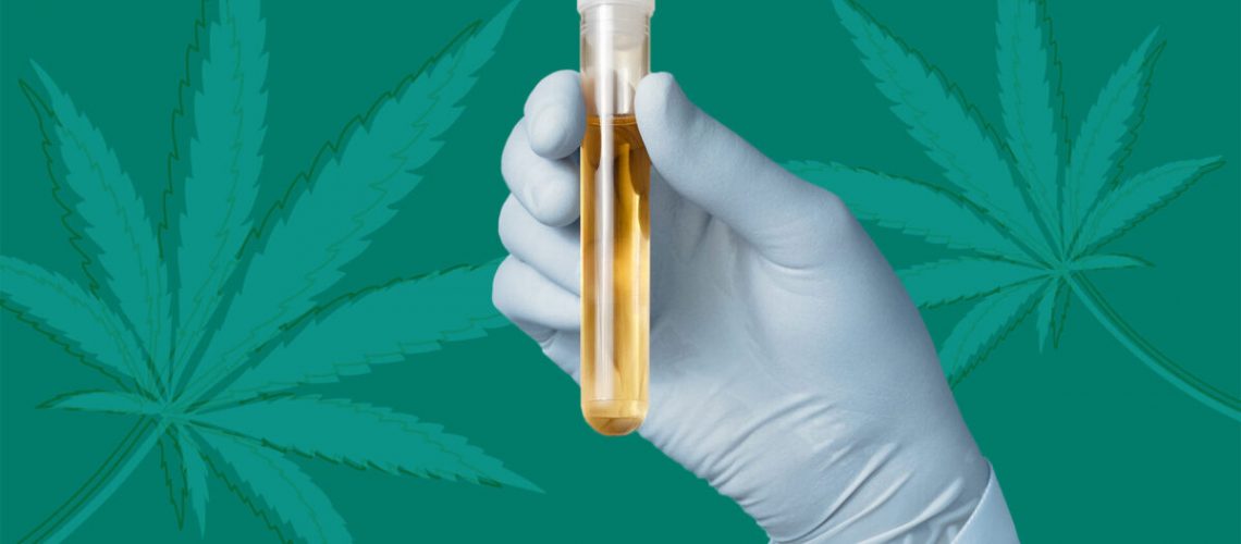 Does CBD Oil Show up on a Drug Test? (and How to Pass)