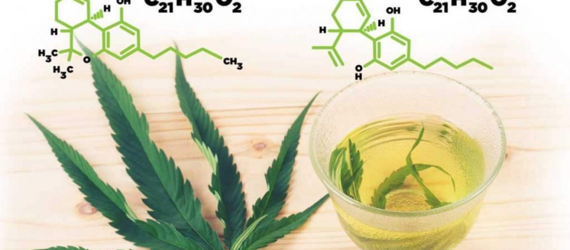 Is There THC in CBD Oil?